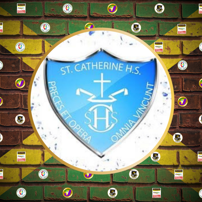 St. Catherine High Makes a Winning Entrance to CThink